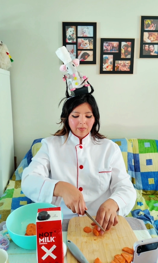 Cosplay - Ratatouille